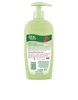 after sun aloe vera