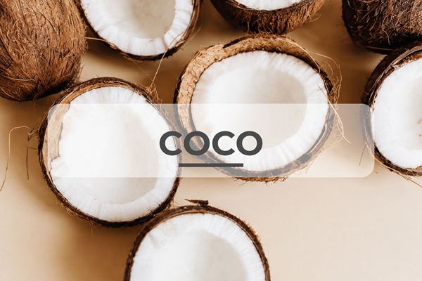 Imagen para la categoría Coco