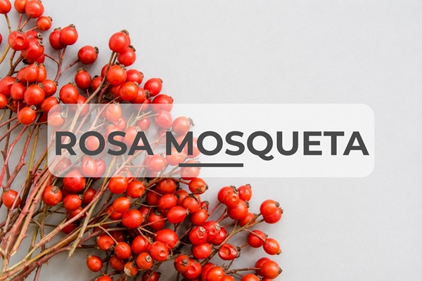 Imagen para la categoría Rosa Mosqueta